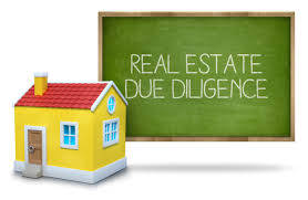 Property Due Diligence Report – Basic